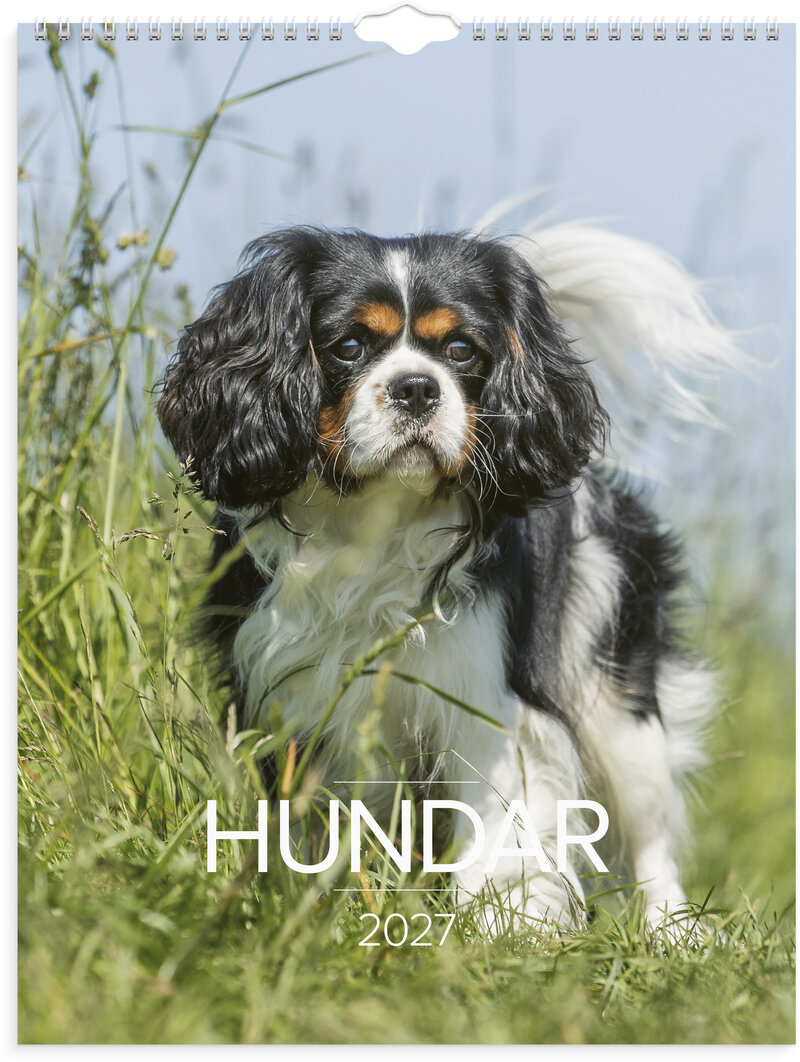Väggkalender 2027 Stora Hundkalendern