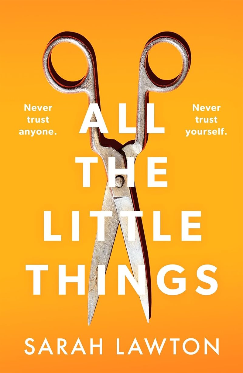 All The Little Things: A tense and gripping thriller with an unforgettable ending
