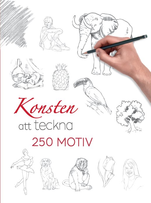 Konsten att teckna : 250 motiv