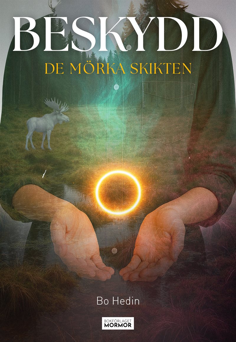 Beskydd : de mörka skikten