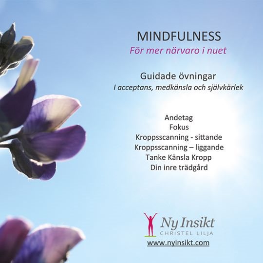 Mindfulness : för mer närvaro i nuet