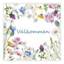 Matservetter 20p Välkommen
