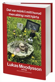 Det var mörkt i mitt huvud men aldrig i mitt hjärta